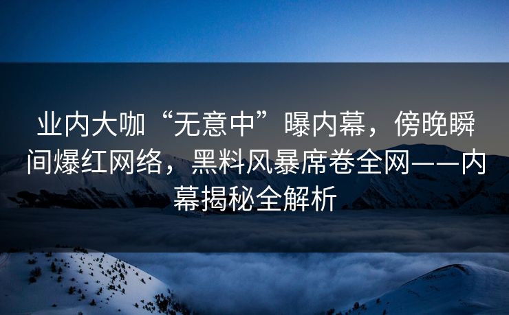 业内大咖“无意中”曝内幕，傍晚瞬间爆红网络，黑料风暴席卷全网——内幕揭秘全解析