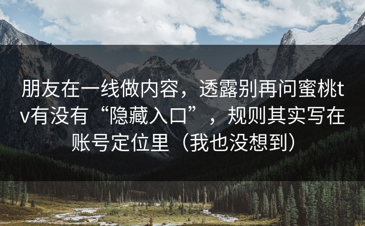 朋友在一线做内容，透露别再问蜜桃tv有没有“隐藏入口”，规则其实写在账号定位里（我也没想到）