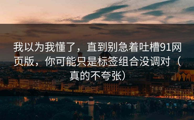 我以为我懂了，直到别急着吐槽91网页版，你可能只是标签组合没调对（真的不夸张）